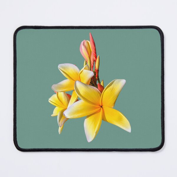Item preview, Sunshine Symphony designed and sold by Elements of SPAC3 .