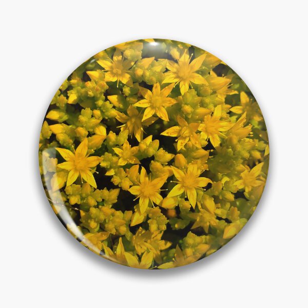 Item preview, Goldmoss Stonecrop designed and sold by bjtomiko.