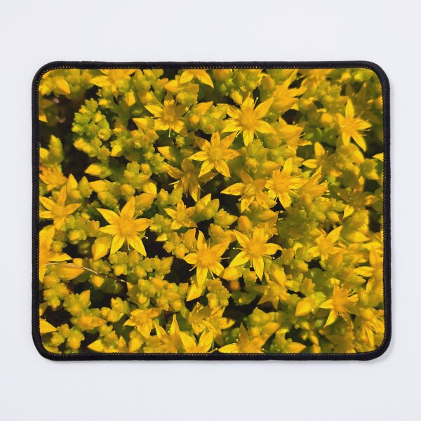 Item preview, Goldmoss Stonecrop designed and sold by bjtomiko.