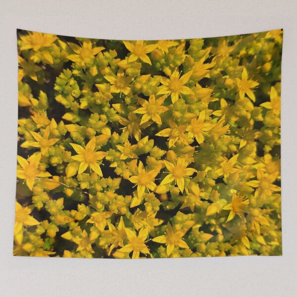 Item preview, Goldmoss Stonecrop designed and sold by bjtomiko.