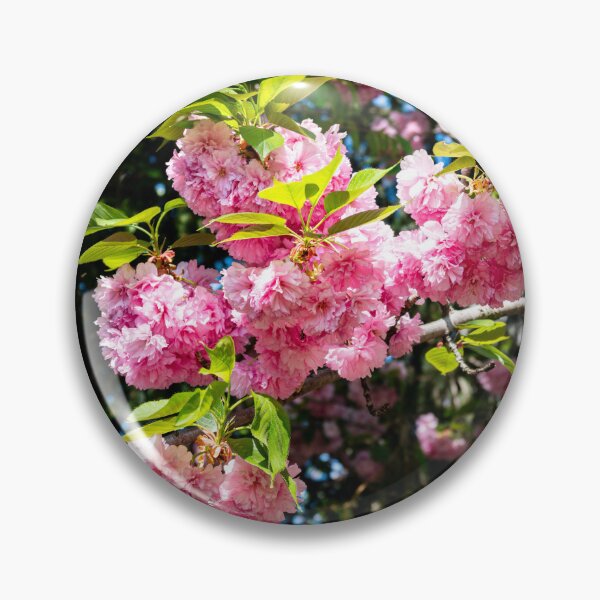 Artikelvorschau, Double Pink Cherry Blossom Branch Close-Up Photography entworfen und verkauft von Photo-By-Nate.