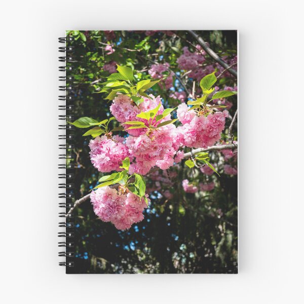 Item preview, Double Pink Cherry Blossom Branch Close-Up Photography designed and sold by Photo-By-Nate.