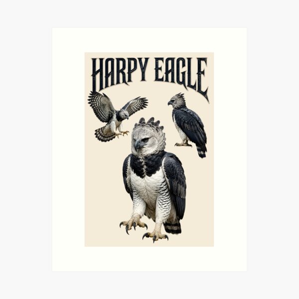 Item preview, Harpy Eagle designed and sold by CristianoArt.