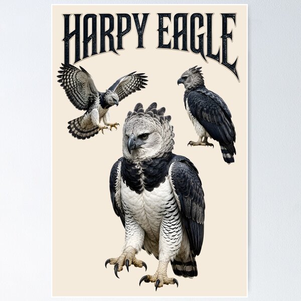 Item preview, Harpy Eagle designed and sold by CristianoArt.