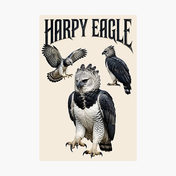Item preview, Harpy Eagle designed and sold by CristianoArt.