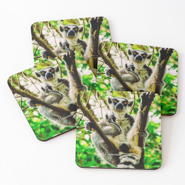 Item preview, Ring Tailed Lemur Funny Pose Wildlife Nature Photography designed and sold by AuraInkSC.