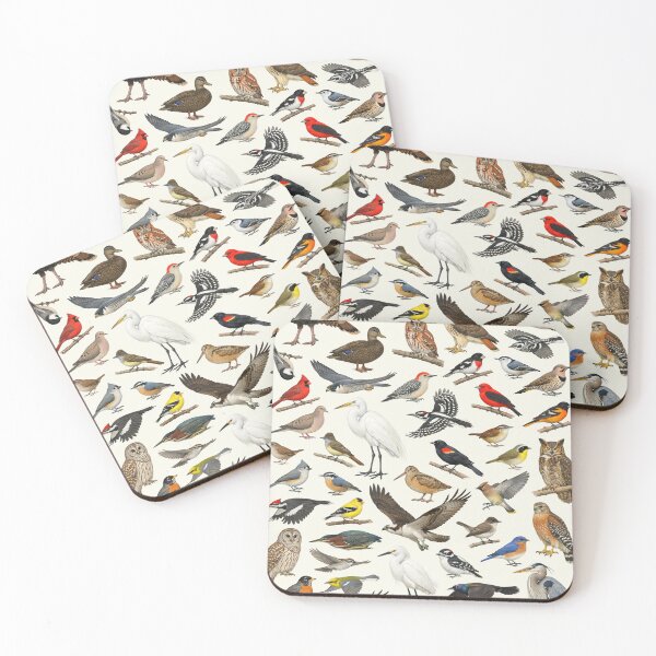 Item preview, Native Birds of Connecticut Retro Style Identification Chart designed and sold by kakarikihill.