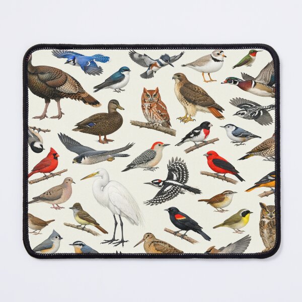 Item preview, Native Birds of Connecticut Retro Style Identification Chart designed and sold by kakarikihill.