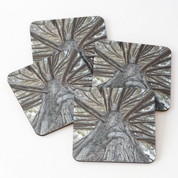 Item preview, NZ - South Island - Sequoiadendron Giganteum Wellingtonia designed and sold by Solveig Winn.