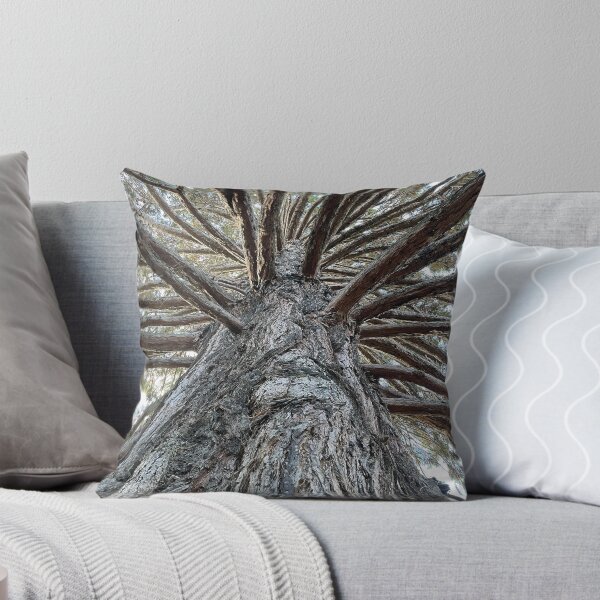 Item preview, NZ - South Island - Sequoiadendron Giganteum Wellingtonia designed and sold by Solveig Winn.