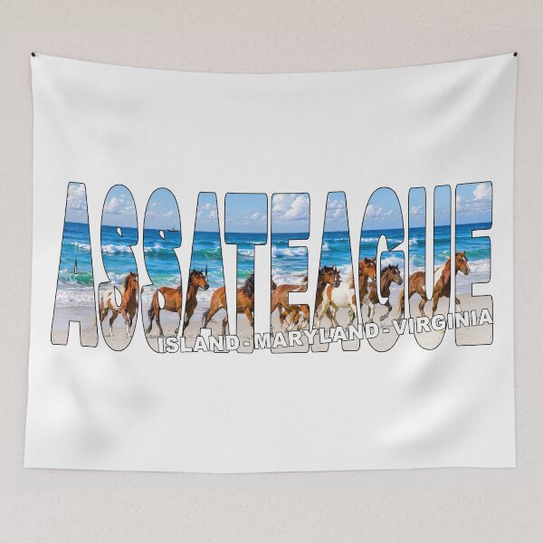Item preview, ASSATEAGUE ISLAND Maryland Virginia - USA Chincoteague Ponies on Beach designed and sold by Adam Gormley.