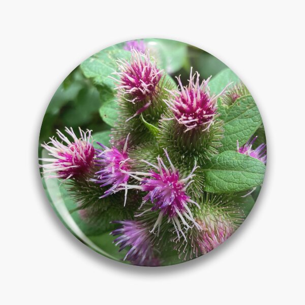 Item preview, Burdock  designed and sold by Amanda1775.
