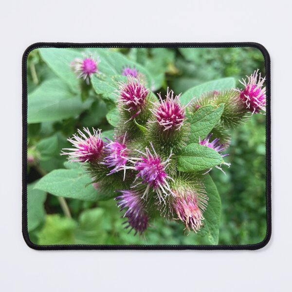 Item preview, Burdock designed and sold by Amanda1775.