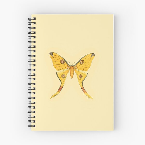 Item preview, Vintage Botanical Moth Illustration - Antique Natural History Print Sticker designed and sold by footnotes-club.