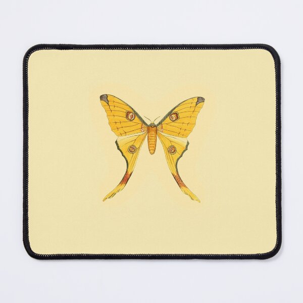 Item preview, Vintage Botanical Moth Illustration - Antique Natural History Print Sticker designed and sold by footnotes-club.