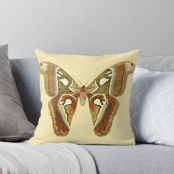 Item preview, Vintage Botanical Moth Illustration - Antique Natural History Print Sticker designed and sold by footnotes-club.