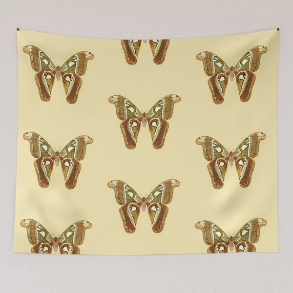 Item preview, Vintage Botanical Moth Illustration - Antique Natural History Print Sticker designed and sold by footnotes-club.