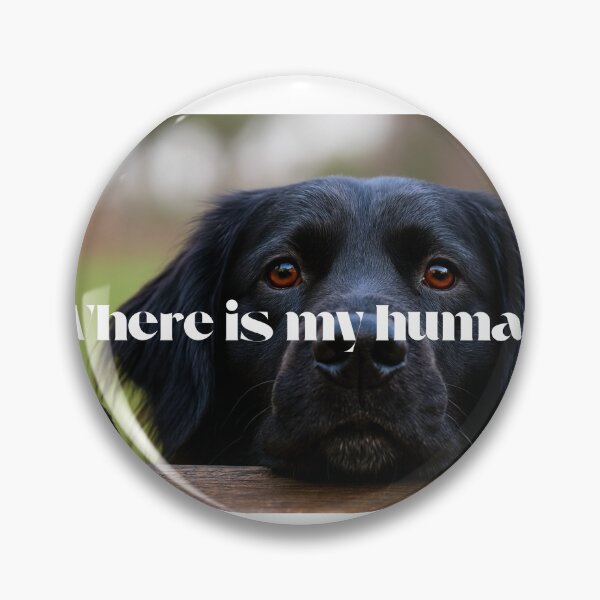 Item preview, Funny confused dog “Where is my Human” meme sticker designed and sold by NexusImagery.