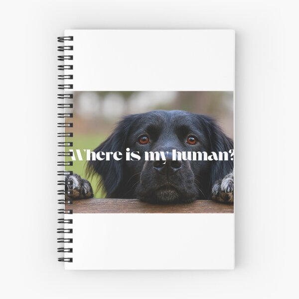 Item preview, Funny confused dog “Where is my Human” meme sticker designed and sold by NexusImagery.