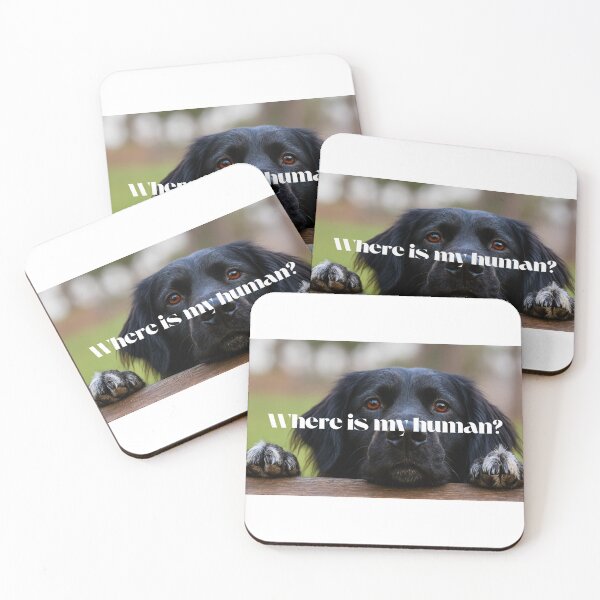 Item preview, Funny confused dog “Where is my Human” meme sticker designed and sold by NexusImagery.
