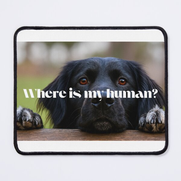 Item preview, Funny confused dog “Where is my Human” meme sticker designed and sold by NexusImagery.
