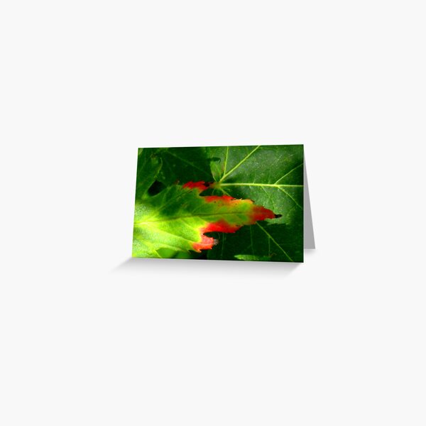 Item preview, A Touch of Red designed and sold by CynLynn.