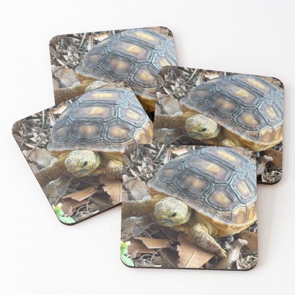 Item preview, Baby Gopher Tortoise designed and sold by SnowDog-Studios.