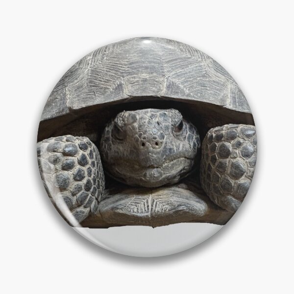 Item preview, Smokey the Gopher Tortoise designed and sold by SnowDog-Studios.