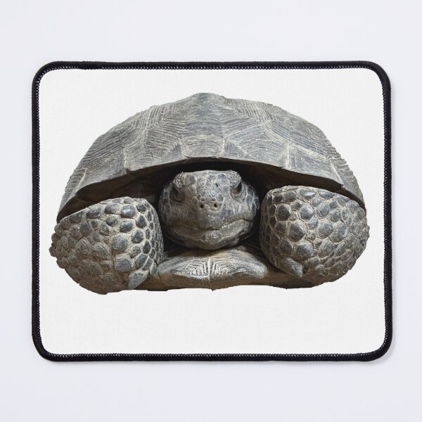 Item preview, Smokey the Gopher Tortoise designed and sold by SnowDog-Studios.