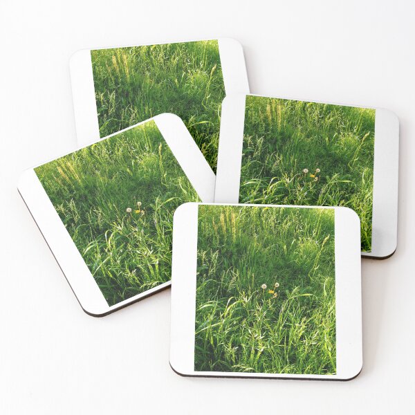 Item preview, dandelion designed and sold by studio-koichiro.