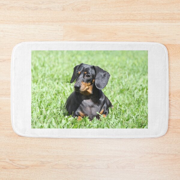 Item preview, Cute Black and Tan Dachshund Dog Portrait designed and sold by 27Tammy27.