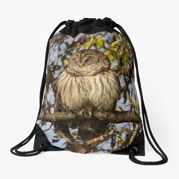 Owl Drawstring Bag