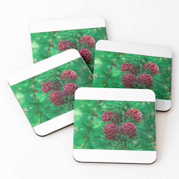 Item preview, Spruce cones on a tree designed and sold by NorthWild.