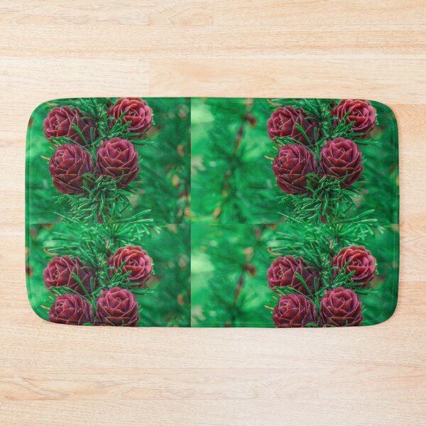 Item preview, Spruce cones on a tree designed and sold by NorthWild.