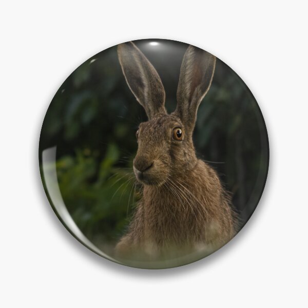 Item preview, An hare designed and sold by Naguss.