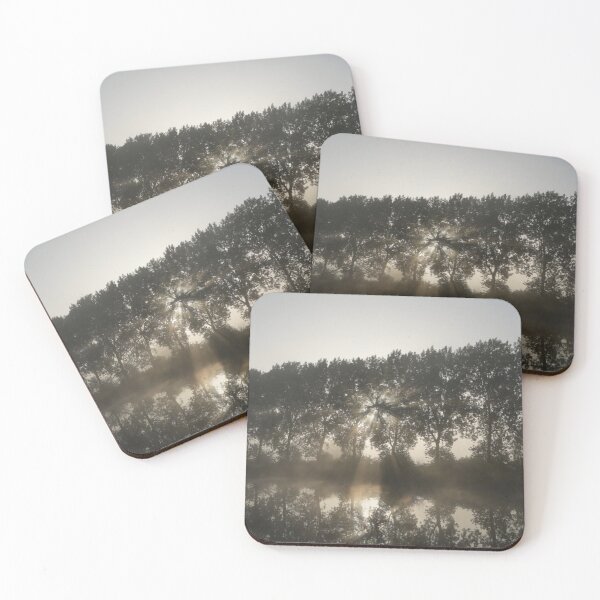 Item preview, Vibrant Morning University Of Erlangen Nuremberg Garden designed and sold by Rishstrethphoto.