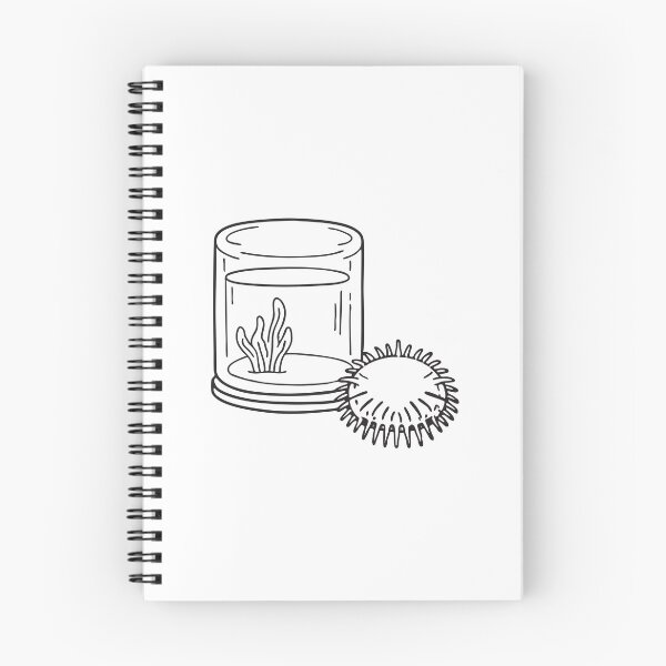 Item preview, A sea urchin shaped toy sitting near a fish tank designed and sold by rasagamastore.