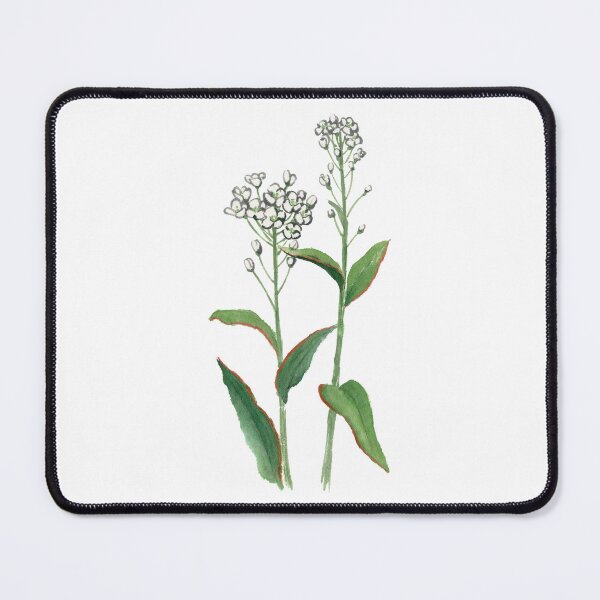 Item preview, April 26th birthday flower Shepherd's Purse designed and sold by birthflower.