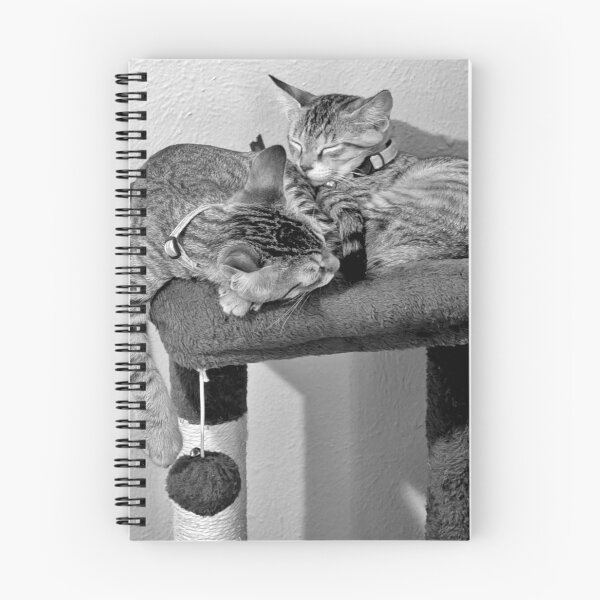 Item preview, Two Kittens designed and sold by phxzone.