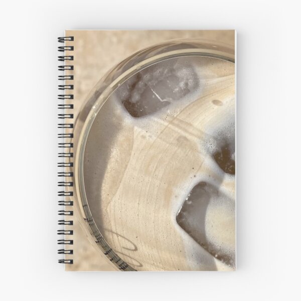 Item preview, Sunrise Pull And & Bear Reflections designed and sold by Rishstrethphoto.
