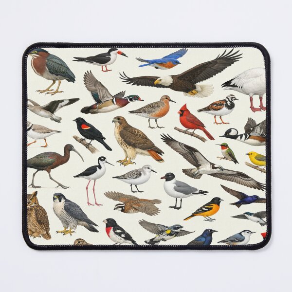Item preview, Native Birds of Delaware Retro Style Identification Chart designed and sold by kakarikihill.