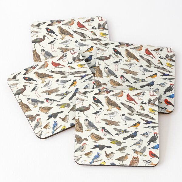 Item preview, Native Birds of Delaware Retro Style Identification Chart designed and sold by kakarikihill.