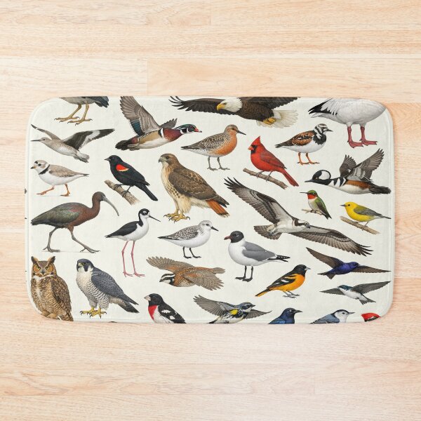 Item preview, Native Birds of Delaware Retro Style Identification Chart designed and sold by kakarikihill.