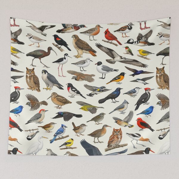 Item preview, Native Birds of Delaware Retro Style Identification Chart designed and sold by kakarikihill.