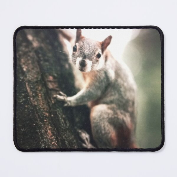 Item preview, Squirrel Climbing a Tree designed and sold by jepnmea.
