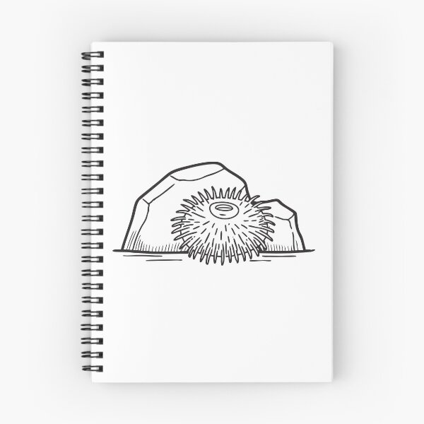 Item preview, A dark sea urchin settled next to a stone underwater designed and sold by rasagamastore.