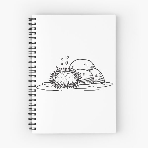 Item preview, A spiky urchin resting near a rock on the ocean bottom designed and sold by rasagamastore.