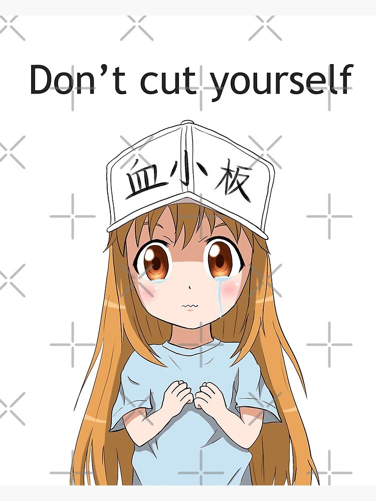 Disover Platelet "Don't cut yourself" English Version | Hataraku Saibou Cells at Work Premium Matte Vertical Poster
