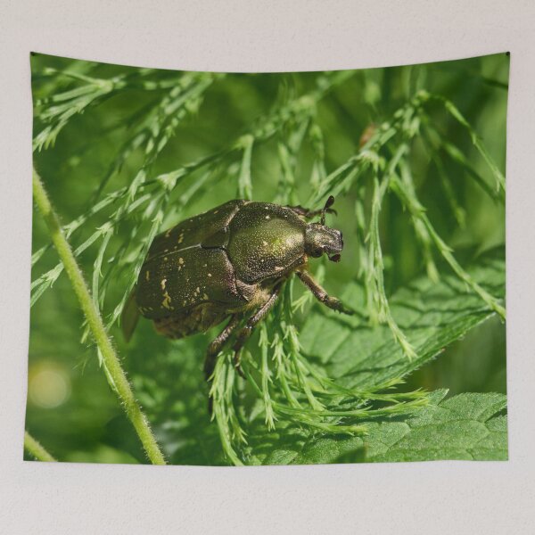 Item preview, Copper chafer self designed and sold by Jouko Lehto Photography.