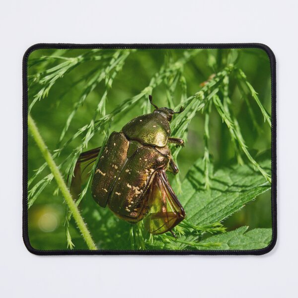 Item preview, Show the wings. Copper chafer designed and sold by Jouko Lehto Photography.